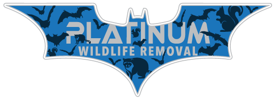 Animal Removal St Charles