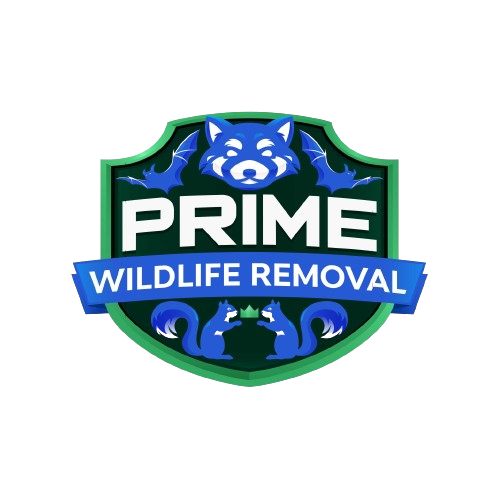 Animal Removal St Charles